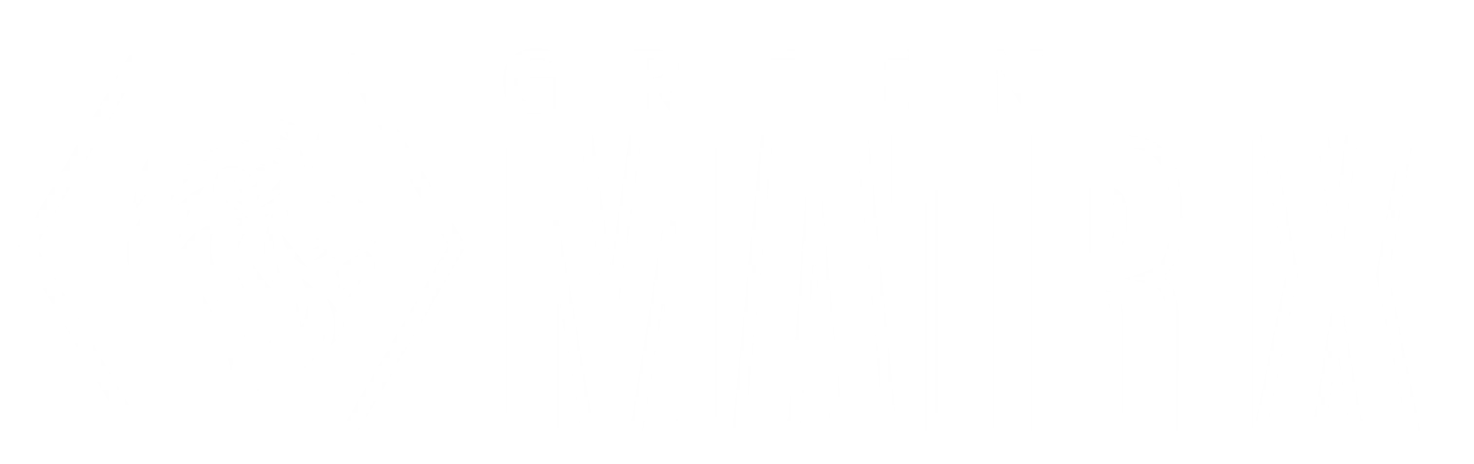Logotip podjetja Green Matrix z belo silhueto leva v šestkotnem okvirju in modernim napisom na svetlosivi podlagi.